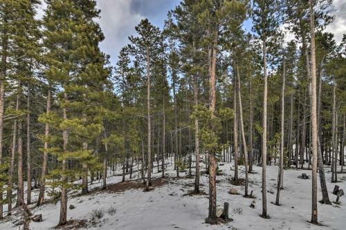16-acre Modern Fairplay Cabin With Mtn Views!