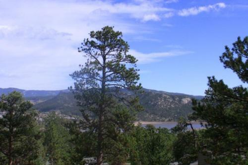 Elk Ridge Retreat