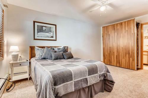 Frisco Main Street Condo