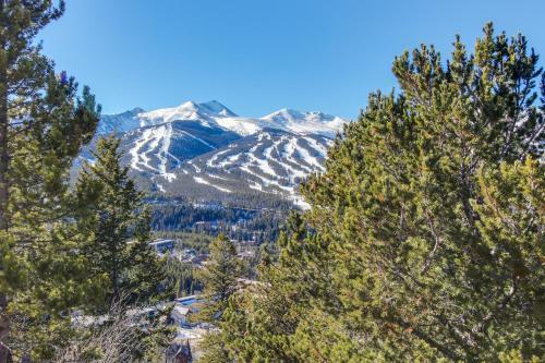Snowscape 501
