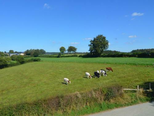 Holiday Home La Ferme D Amel Amel Moderscheid