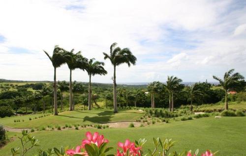 Coconut Grove 1 Luxury Villa