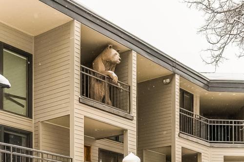 Cimarron Mountain Retreat