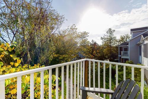 Sea Colony Pinewood