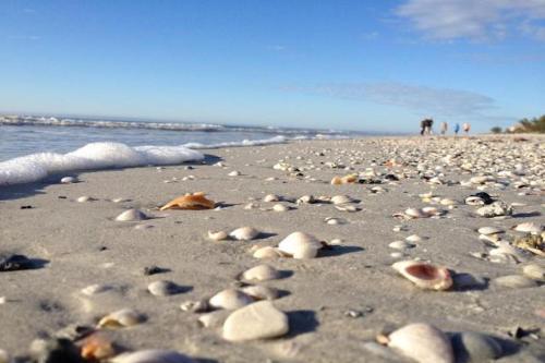 Seascape 104
