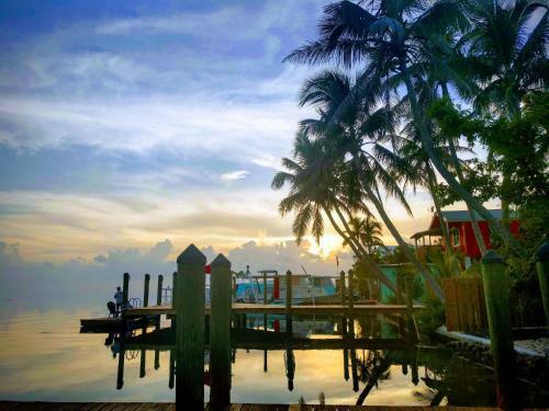 Hotel Conch Key Fishing Lodge & Marina