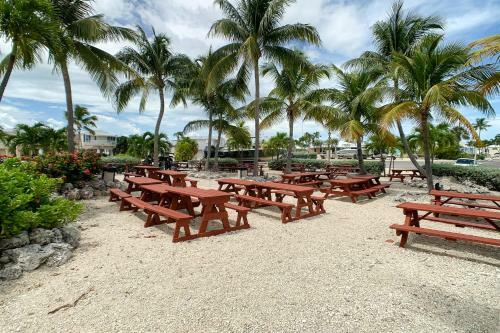 Tropical Sabbatical