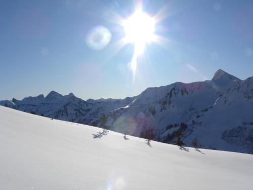 Hotel Alpenblume