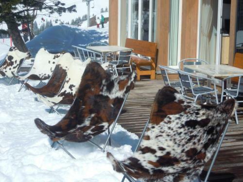 Hotel Walisgaden