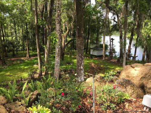 Bed & Breakfast Riverview Lounge