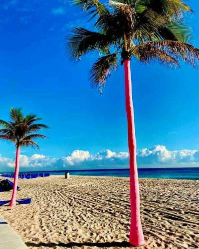 Apartamento Studio 306 Queen One Block From Ft Laud Beach
