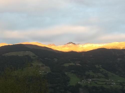 Apart Tiefenbach