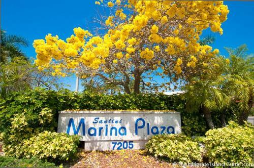Apartamento Polynesian Village 2, Sleeps 3, Studio, Beach View