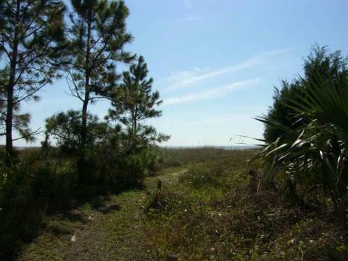Indian Pass Subdivision Homes - Pet Friendly By Pristine Properties