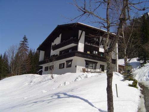 Bed & Breakfast Haus Sursilva
