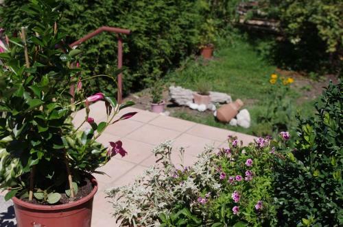 Apartamento Ferienhaus Kopp