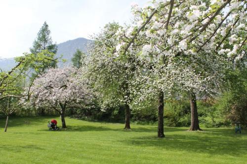 Hotel Hochsteg G�tl