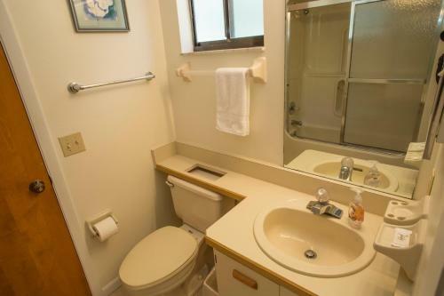 Apartamento 262 Home