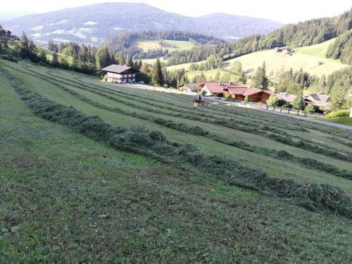 Bed & Breakfast Vorderwiesgut
