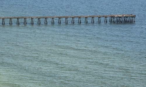 Tidewater 1216