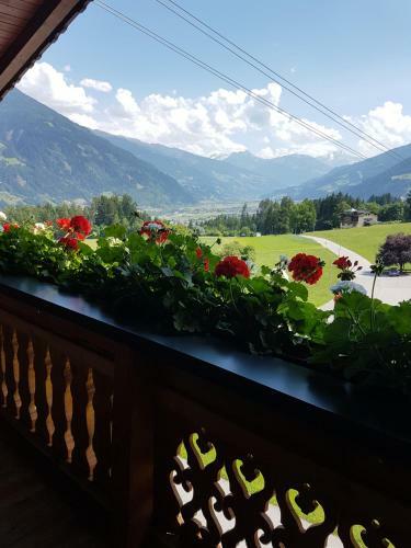 Hostal Pension Platzer