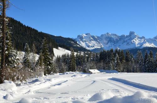 Apartments Alpenfrieden