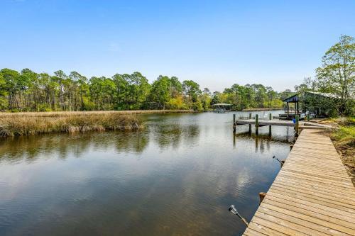 Lone Palm On The Bayou