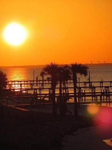 Pirates Cove By Gulf Life