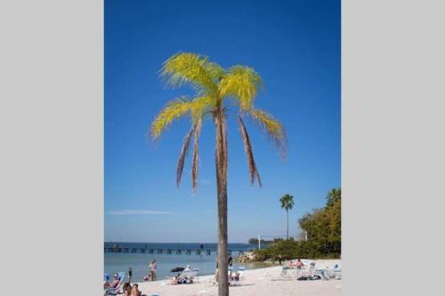 Apartamento Sea Spray, Studio 114, Beach Steps Away! Pool+wifi