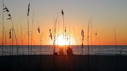 Apartamento Beach Hugger 1 - Charming Beach Front Cottage Efficiency