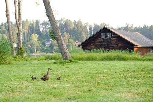Inselhotel Faakersee