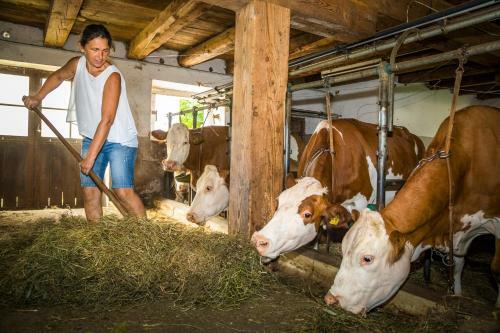 Agroturismo Biobauernhof Windbachgut