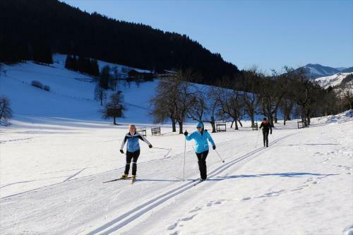 Hostal Sportpension Goldegg