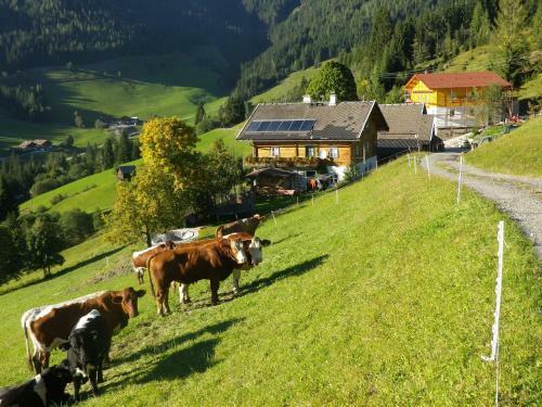 Apartamentos M�slehenhof
