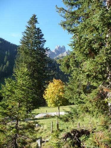Apartamento Ferienwohnung Hans Ebner