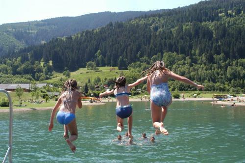Hostal Haus Dachstein Schnitzer