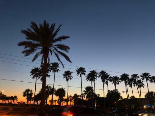 #303 Shores Of Madeira