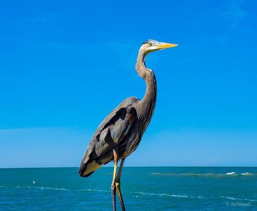 Affordable Beach Condos -three Bed 3 Bath House Home