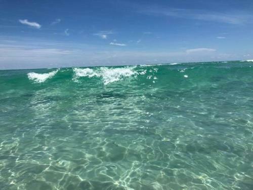 Apartamento St Pete Vacation Rentals