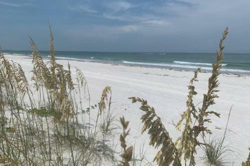 Apartamento St Pete Vacation Rentals