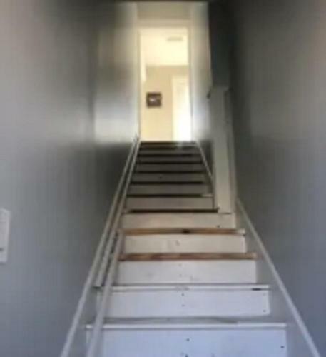 Apartamento St Pete Vacation Rentals