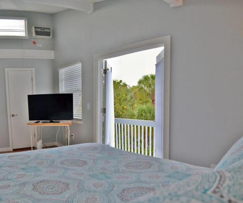 Shell Beach 204