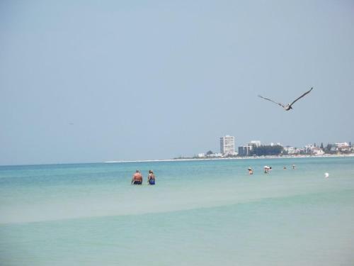 Apartamento 2br/1ba Vacation Rental - Sienna Park