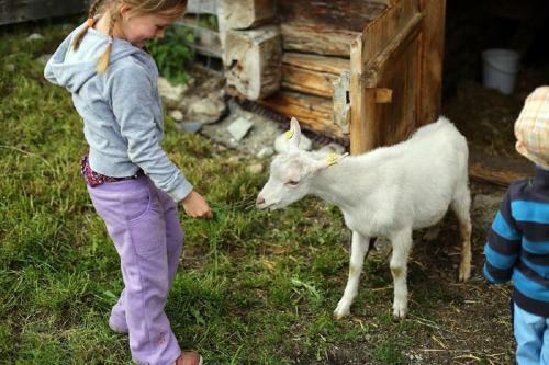 Apartamento Farm Resort Geislerhof
