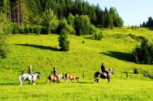 Agroturismo Steinbachgut