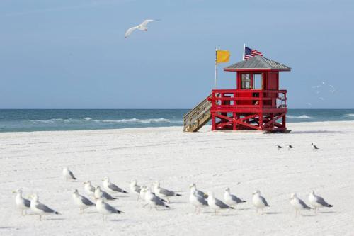 White Sands Near The Beach