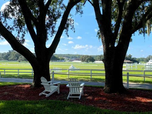 Hotel The Grand Oaks Resort