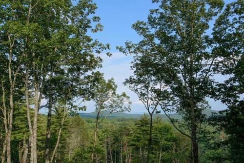 Twin Pine Lodge By Escape To Blue Ridge