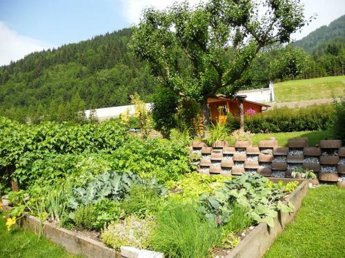 Apartamento Ferienhaus Eva
