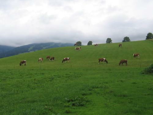 Agroturismo Apartment Ransburggut